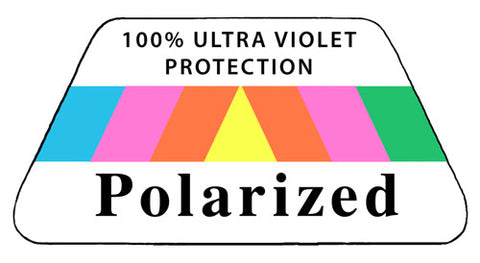 Polarized Lens Options